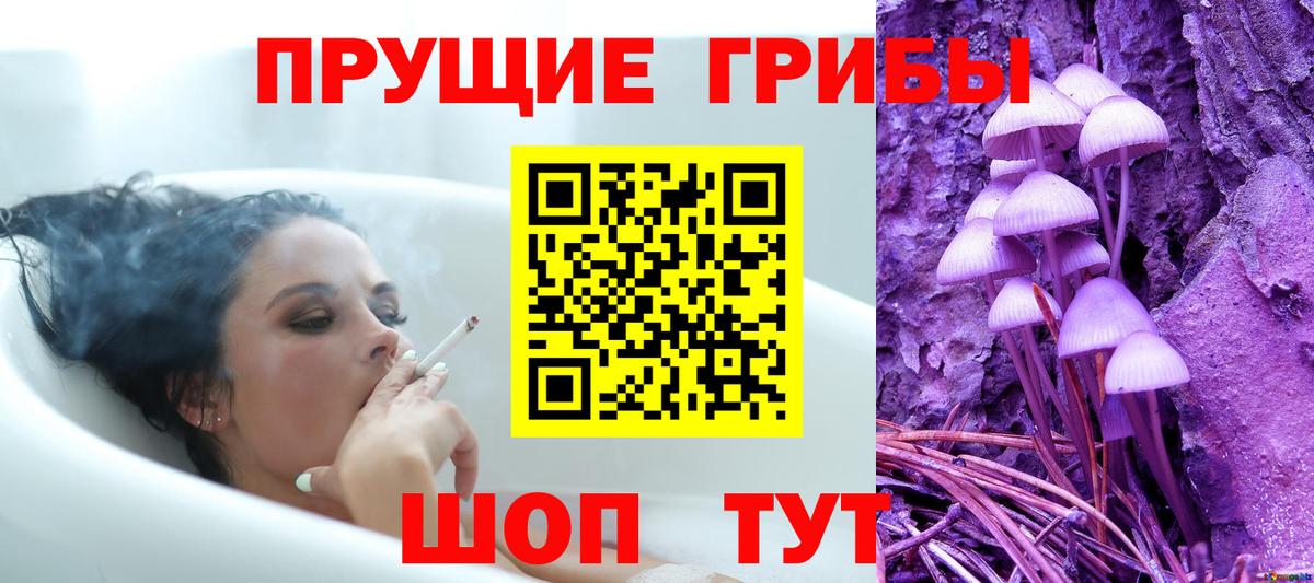 Новоалтайск  Псилоцибиновые грибы Cubensis  Вход с VPN  Псилоцибиновые грибы мицелий 