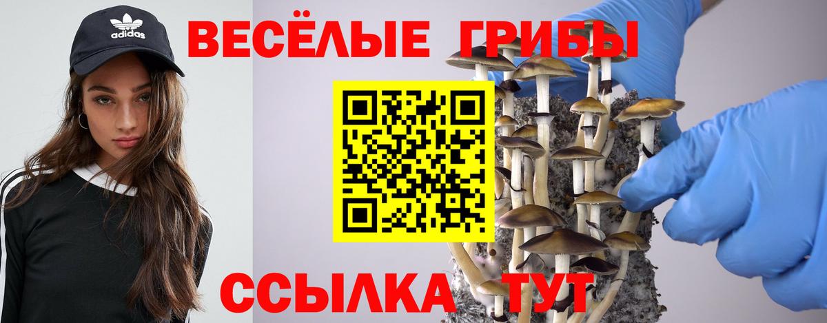 Галлюциногенные грибы GOLDEN TEACHER Новоалтайск